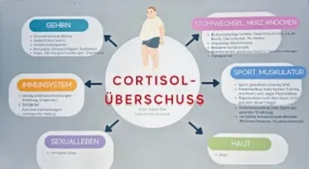Warum zu viel Sport dein Abnehmen blockiert – Cortisol als Abnehm-Bremse